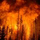 Image for article titled Massive Forest Fires Could Be Cooling the Earth